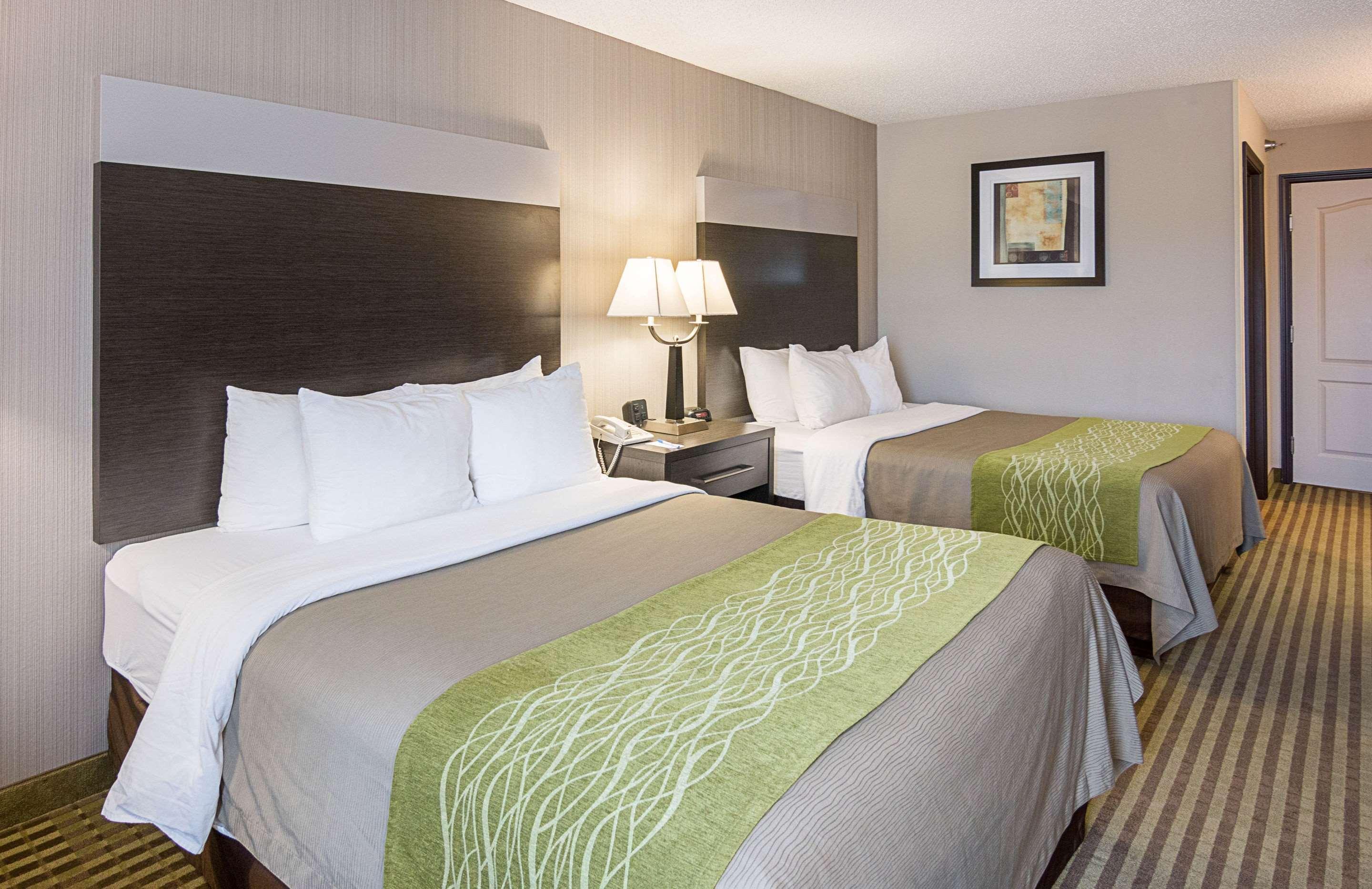 Comfort Inn Camden Dış mekan fotoğraf